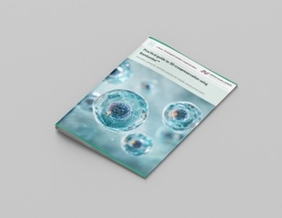 Optimizing 3D cryopreservation using Bambanker™