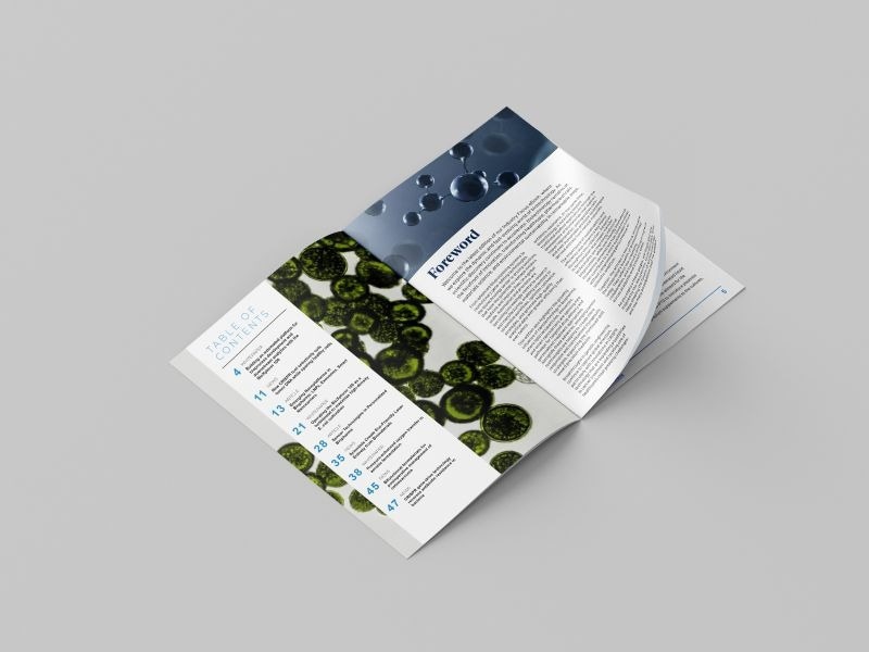 Industry focus eBook - Biotechnology (3rd edition)