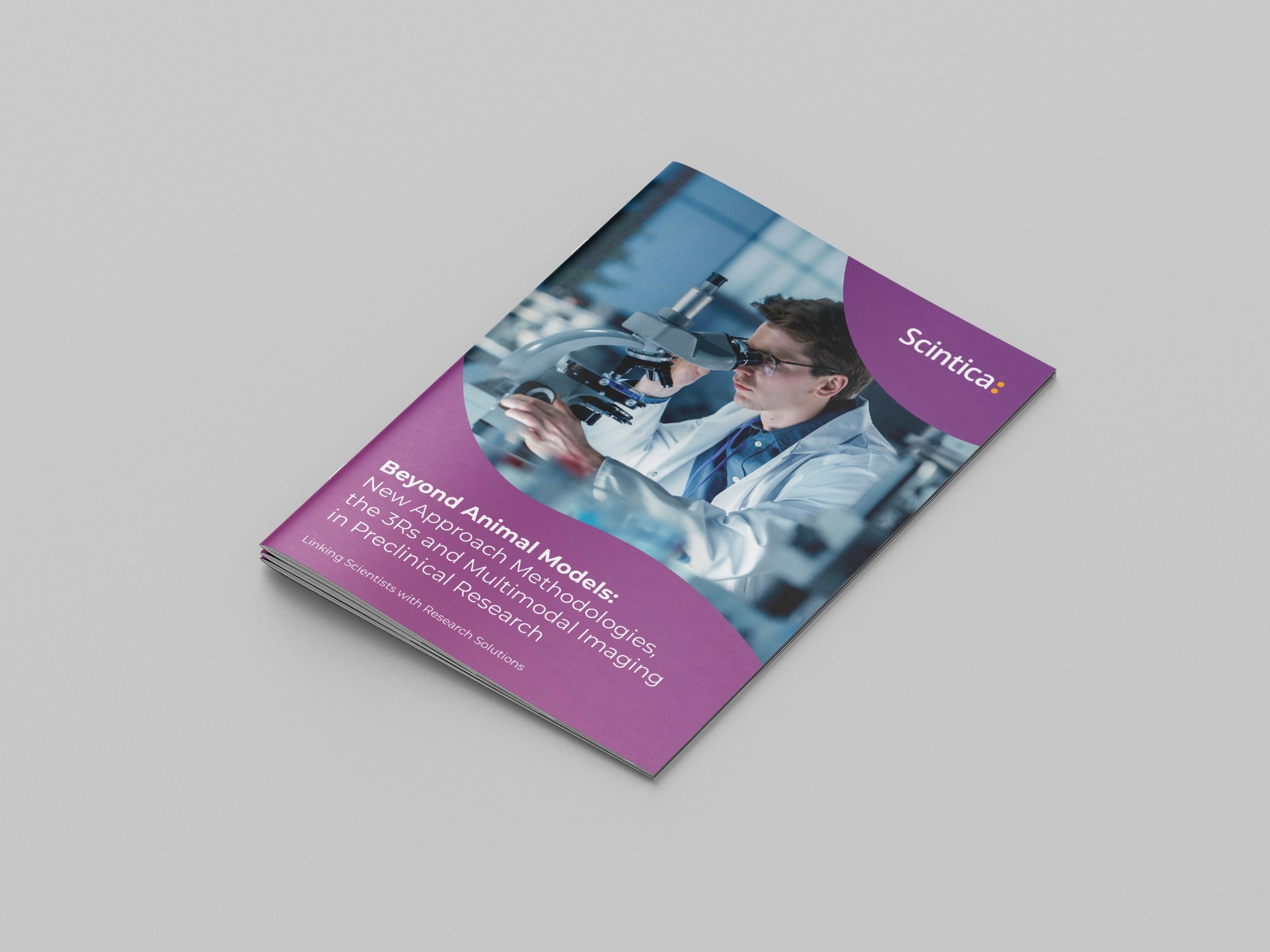 New Approach Methodologies, the 3Rs and Multimodal Imaging in Preclinical Research - eBook