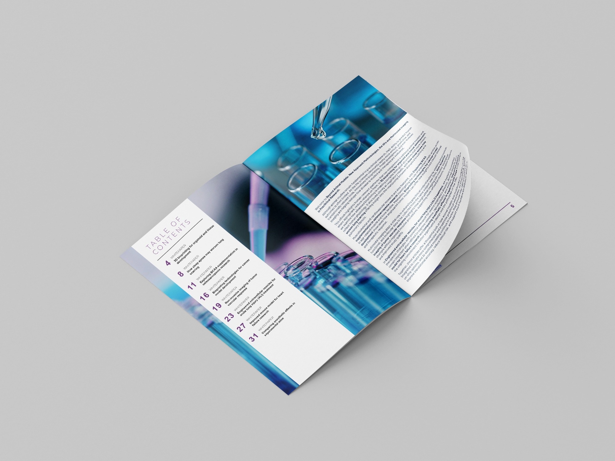 New Approach Methodologies, the 3Rs and Multimodal Imaging in Preclinical Research - eBook