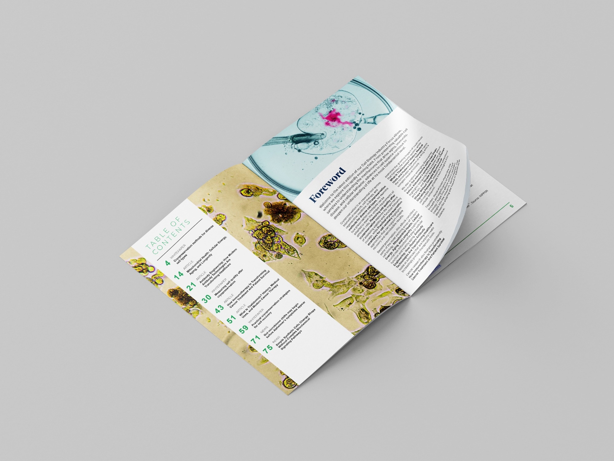Industry Focus eBook - Cell biology (5th edition)