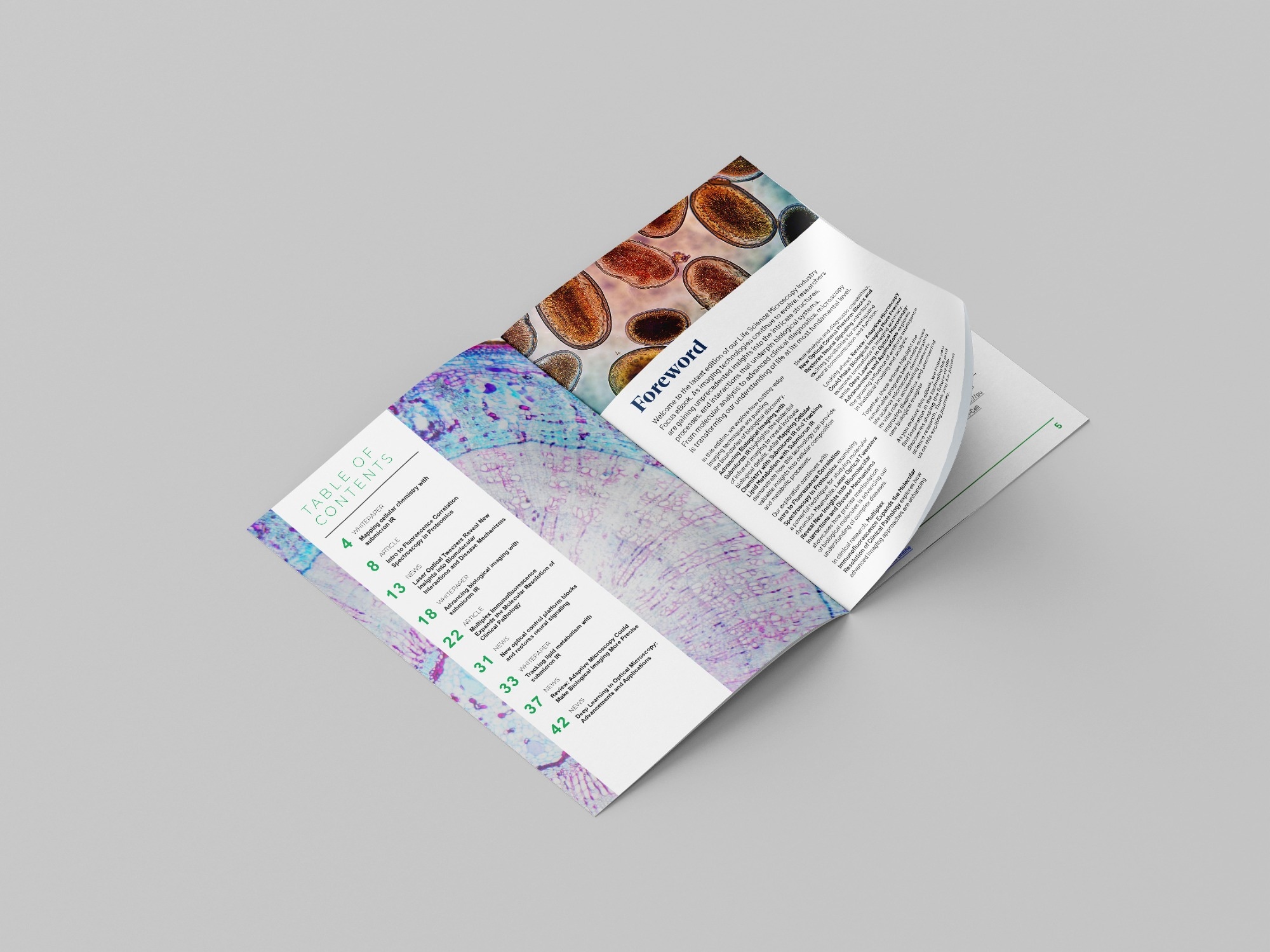 Industry Focus eBook - Life Science microscopy (2nd Edition)