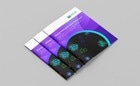 Image-guided automation for advanced cell culture workflows