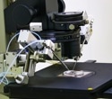 Linkam Scientific temperature controlled warm stages chosen for sperm motility in human fertility testing