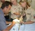 Linkam stages used to study the effects of cryopreservation on the quality of Koala spermatozoa samples