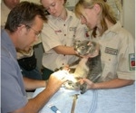 Linkam stages used to study the effects of cryopreservation on the quality of Koala spermatozoa samples