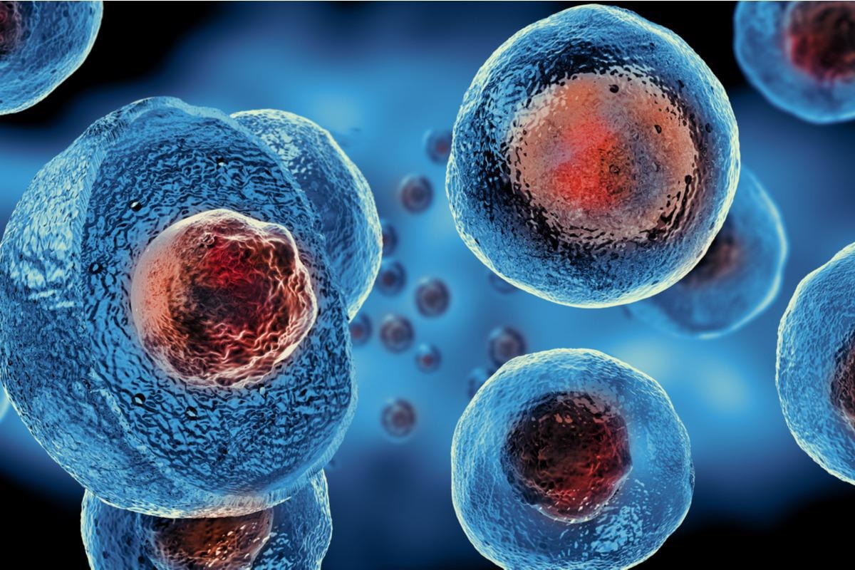 Exploring the relationship between stem cells and COVID-19