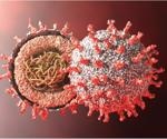 Molecular simulations provide insight into SARS-CoV-2 variant RBD interactions with ACE2 and mAbs