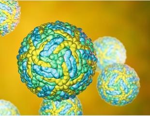 Antiviral potential of N-acylethanolamine acid amide hydrolase against SARS-CoV-2 and Zika virus