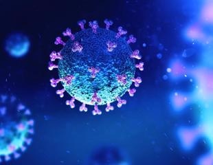 Multigranular and visualization approach precisely predicts SARS-CoV-2 outcomes