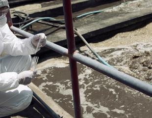 Study estimates the comparative abundance of SARS-CoV-2 variants via wastewater monitoring