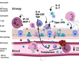 Challenges, unmet needs and future opportunities in COVID-19 therapeutics
