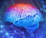 Quantum dot biomimetic for SARS-CoV-2 examines neurovascular dysregulation related to brain inflammation