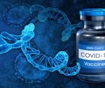 Bacteria-mediated oral delivery of viral replicon-based mRNA vaccines