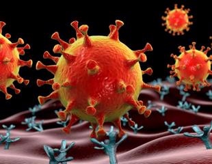 Exploring the possibility of whether surface ACE2 carried by extracellular vesicles can facilitate SARS-CoV-2 infection