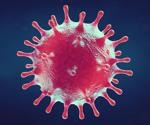 Study reveals the cross-protective role of Omicron infection in vaccinated individuals