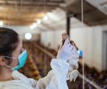 Characterizing spillover dynamics and global transmission patterns of avian influenza A viruses