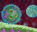 mRNA vaccine methodologies: Production, value and spectrometer use