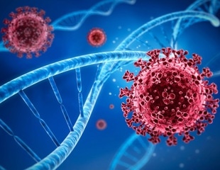 Research progress on the three-dimensional interaction between virus and host genome