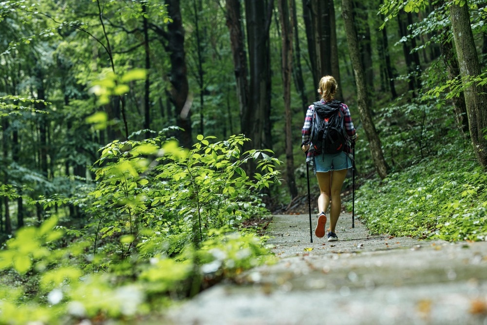 How Does A Walk In Nature Impact The Brain 