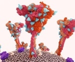 Molecular engineered low-cost highly effective RBD-based COVID vaccine