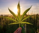 Medical cannabis use reduces sleep disturbances caused by PTSD