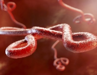 Uganda confirms seven cases of Ebola and one death