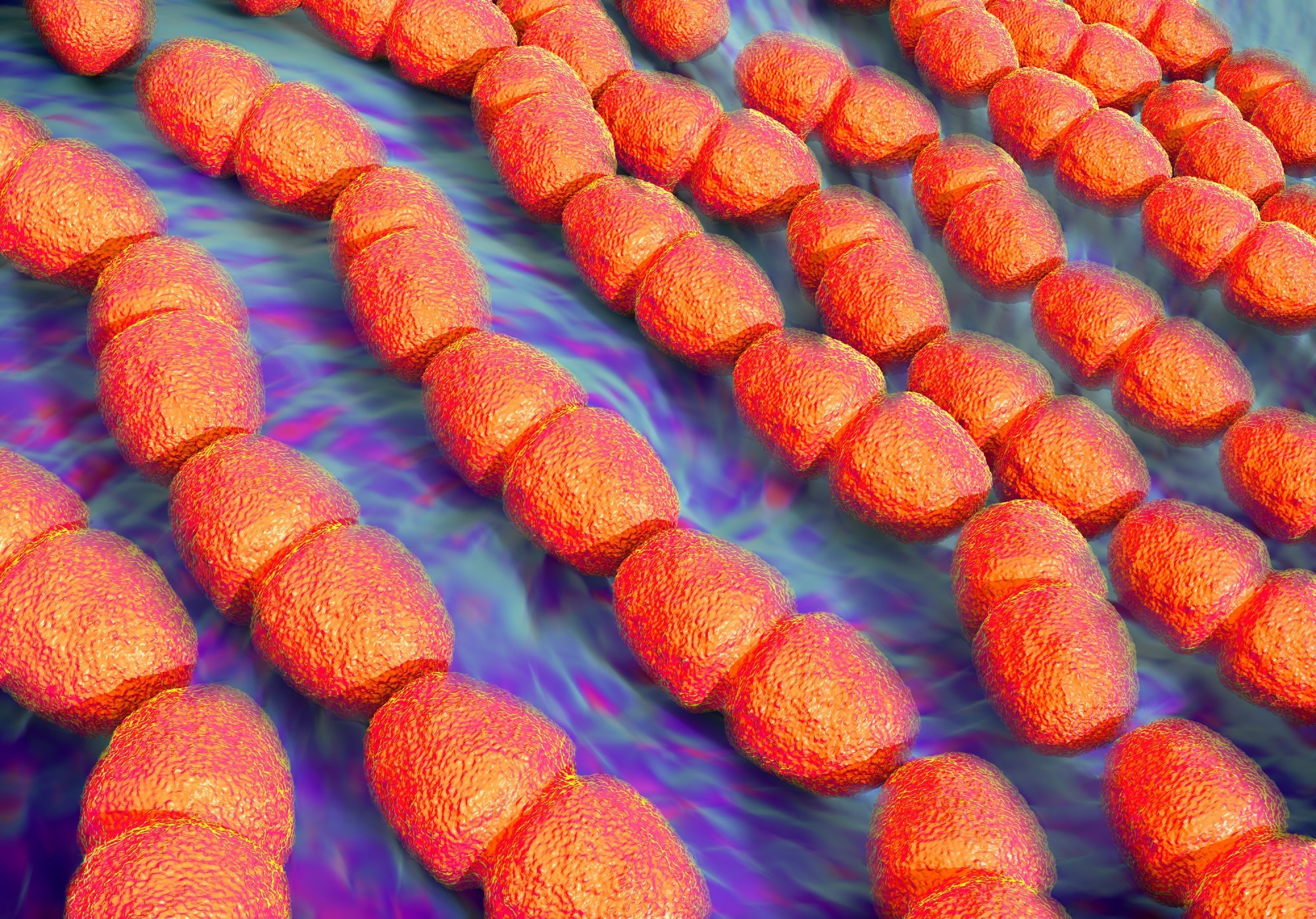 Study: Reaction of SARS-CoV-2 antibodies with other pathogens, vaccines, and food antigens. Image Credit: Peddalanka Ramesh Babu / Shutterstock