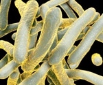 COVID-19 pandemic increased deaths and disease caused by tuberculosis