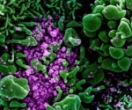 BW.1- a new Omicron subvariant that escapes immunity