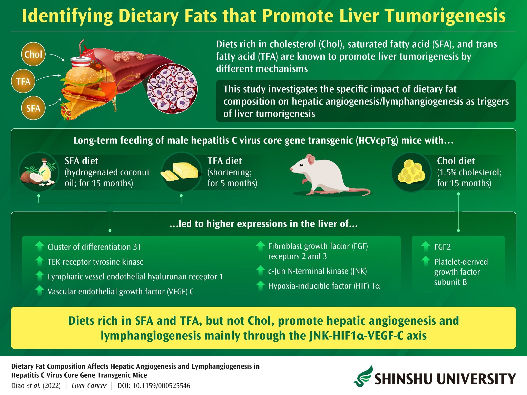 Palm-Free Shortening Has No Hydrogenated Fat, Reduced Saturated