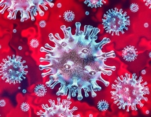 Researchers analyze targets of human T cell recognition against all coronaviruses