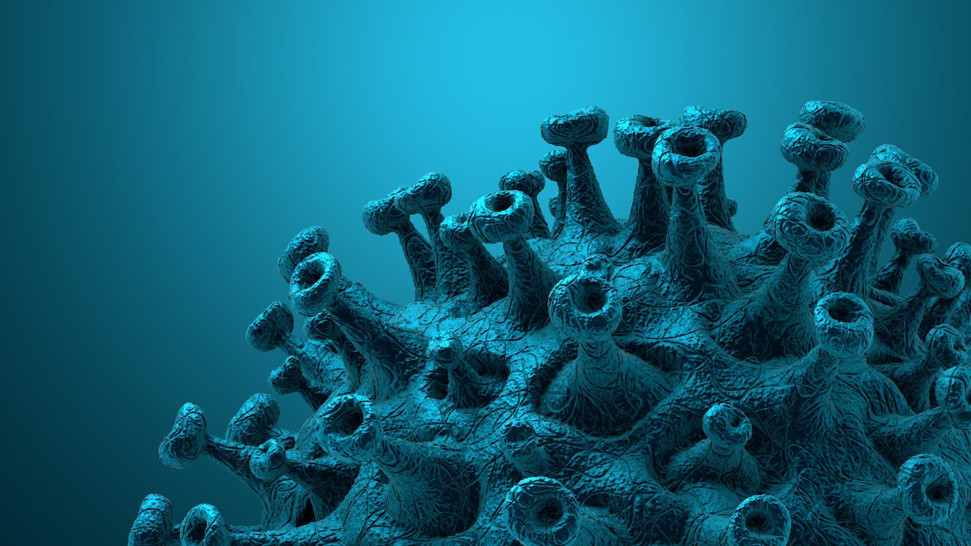 Study: Persistent COVID-19 Symptoms at 6 Months After Onset and the Role of Vaccination Before or After SARS-CoV-2 Infection. Image Credit: CROCOTHERY/Shutterstock