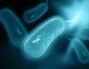 The efficacy of clarithromycin versus levofoxacin-based regimens for H.pylori treatment in naïve patients after the COVID-19 pandemic misuse of antibiotics