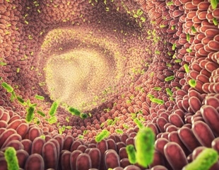 Researchers report on a genome-wide reconstruction of human microbes to develop personalized therapies