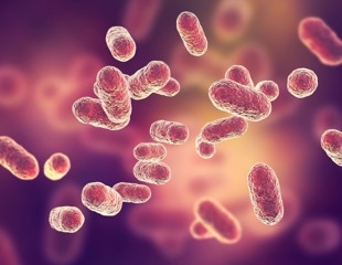 Does recurrent bacterial vaginosis impact quality of life?