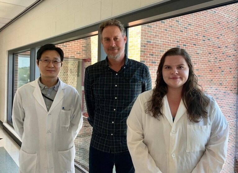 UVA discoveries highlight the different roles of blood vessels in solid tumors