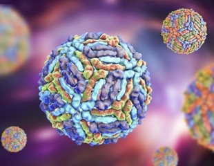 West Nile virus surges to highest incidence since 2012