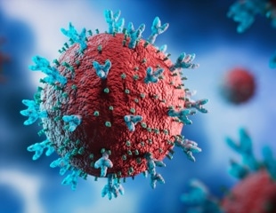 Exploring the dual role of nirmatrelvir and bisphosphonates in COVID-19 treatment and immunity