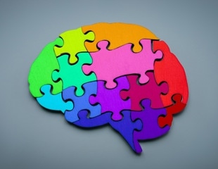 New study maps the broad spectrum of neurodiversity with innovative model