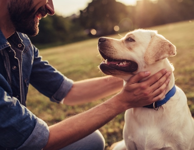 Having a ruff day? Study says spending time with dogs can help