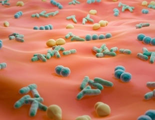 Study reveals skin bacteria removal boosts brain attention signals