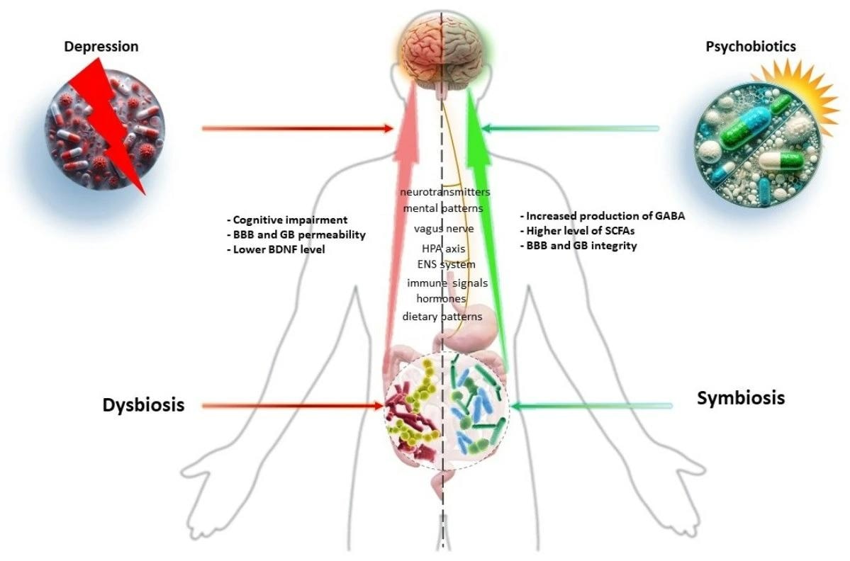 Graphical Abstract