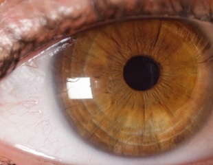 Vaping poses unexpected risks to eye health, study finds