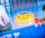 Avian flu crosses species, infecting cats and cattle in Texas and Kansas