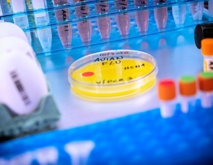 Avian flu crosses species, infecting cats and cattle in Texas and Kansas