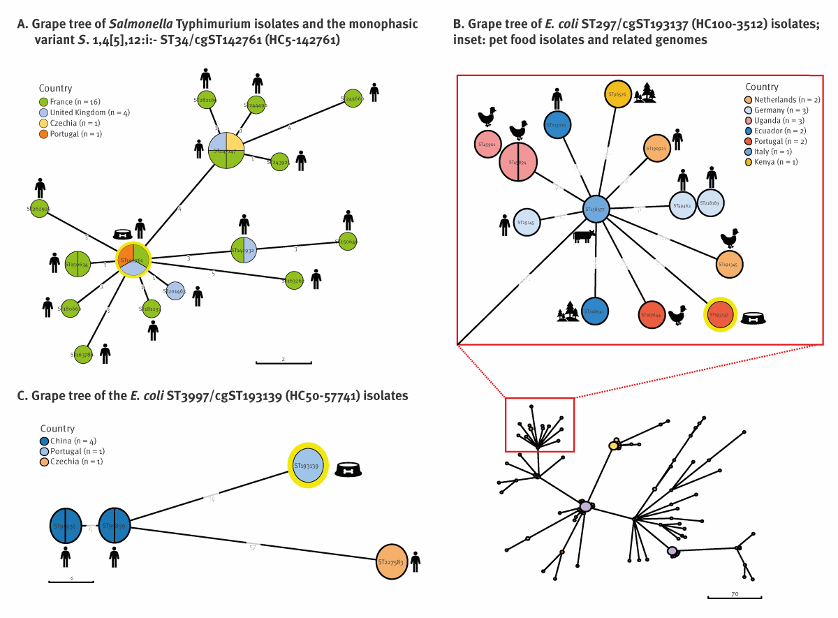 Phylogenetic trees of Salmonella Typhimurium and Escherichia coli isolates from raw pet food samples, Portugal, 2020 (n = 3) and related available genomes on EnteroBase up to 8 June 2023 (n = 22 Salmonella Typhimurium, n = 20 E. coli). The core genome minimum spanning tree was created within the EnteroBase pipeline using the MSTreeV2 algorithm and GrapeTree tool. The cgST is indicated in each node. The yellow circle highlights the pet food isolate of each Grape tree. For the geographical analysis, the cgST was annotated using the country data (the number of genomes by country is indicated within parentheses). The scale bar corresponds to the number of cgMLST allelic differences.