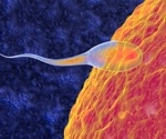 Infertile men face significant anxiety, study shows