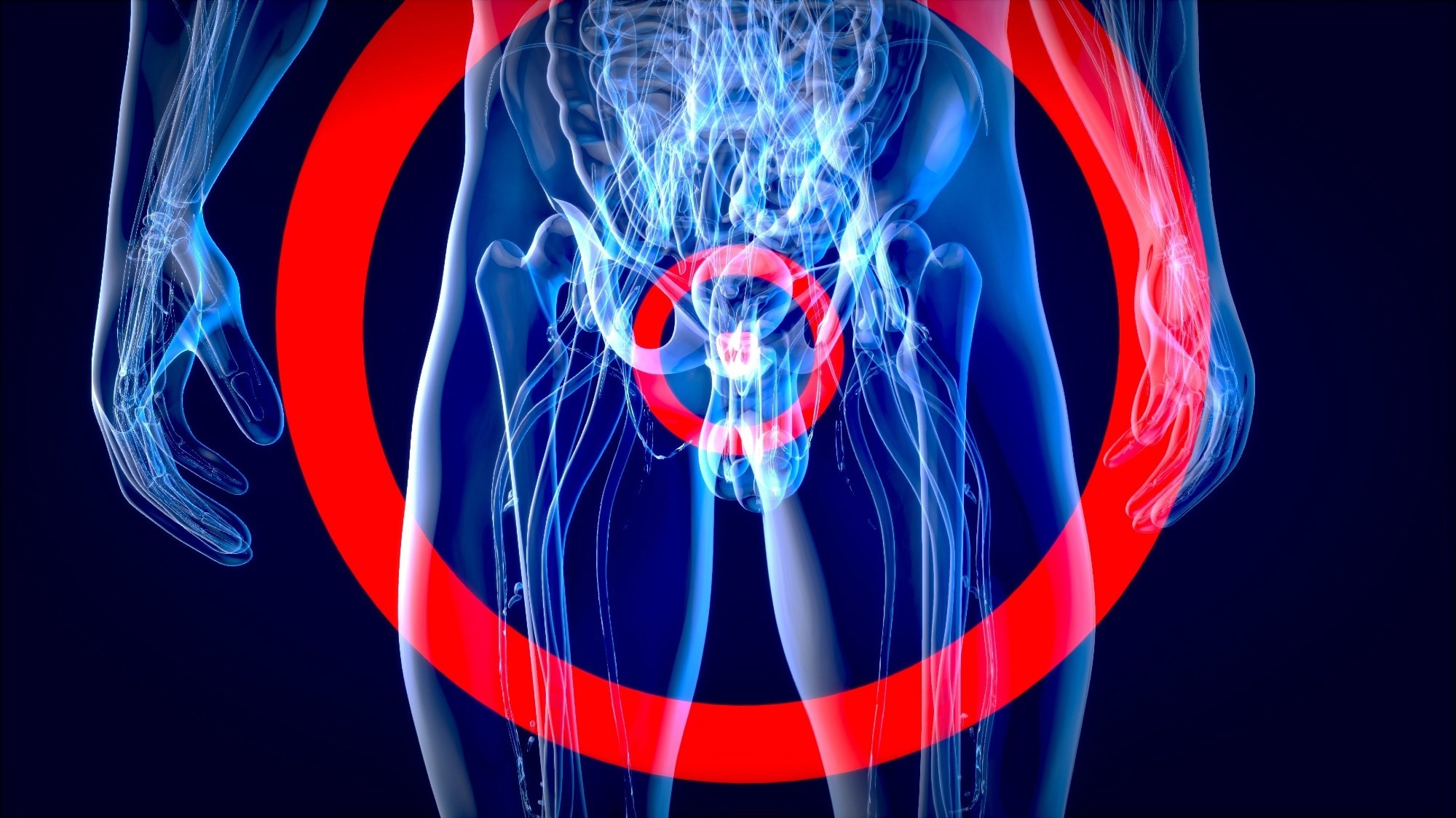 High BPA levels linked to increased prostate cancer risk in older men