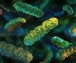 Brain circuits connecting stress to gut bacteria reveal new pathways for immune regulation